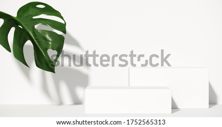 Minimal cosmetic background for product presentation. Tropical green leaves of monstera philodendron with white step background. 3d render illustration. 
