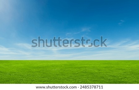 Image, Stock Photo A meadow with grass and wood anemones, kissed by the sun very early in the morning and covered with thousands of dewdrops.