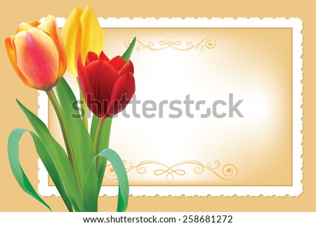 Realistic Colorful Tulips with a greeting card on the background. No text , so it can be a birthday card, a wedding card, an invitation, or whatever you want it to be. Printing colors used.