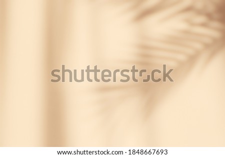 Abstract silhouette shadow beige background of natural leaves tree branch falling on wall. Transparent blurry shadow of tropical leaves morning sun light.