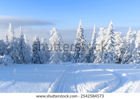 Similar – Image, Stock Photo Field covered with snow in winter