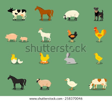 Farm animals set in flat vector style with a chicken hen cock pig sheep beef dairy cow horse.