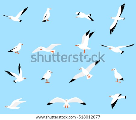 Vector set of beautiful seagulls in a flat style isolated on white background. Sea Gull, a beautiful bird. Cute bird in cartoon style.