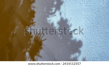 Similar – Image, Stock Photo Tree shade in winter in Kreuzberg