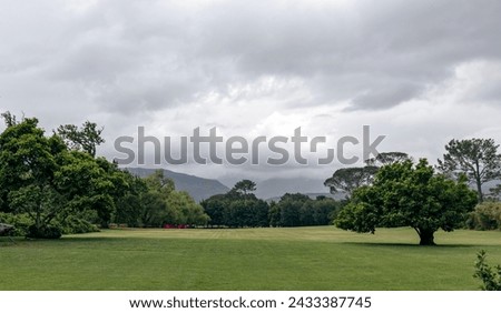 Foto Bild Grauer Himmel, Bäume, Feld