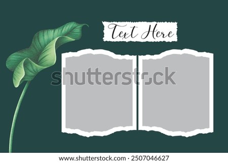 2 photo collage template. vector illustration, new collections