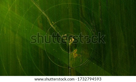 Similar – Image, Stock Photo Aerial View Of Vegetable Garden. Potato Plantation At Summer Day. Village Garden Beds