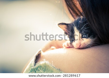 Fearful kitten was comforting by a woman on her shoulder, Vintage Style, Soft & Dreamy Effect, Low Clarity