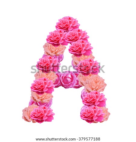 Letter Of Pink Rose Flower A Stock Photo 379577188 : Shutterstock