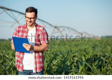 Similar – Image, Stock Photo Filled cultivated form of Osteospermum ecklonis, from South Africa