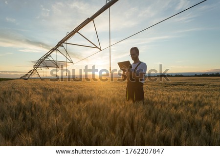 Serious young Caucasian farmer or agronomist standing in ripe wheat field beneath center pivot irrigation system and using a tablet at sunset