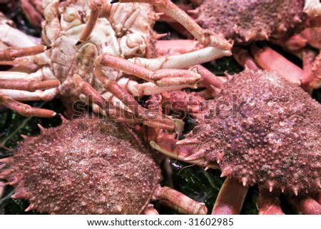 Fresh crabs on the market.