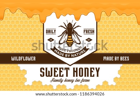 Honey label and packaging design template with bee, honeycombs and dripping honey for apiary and beekeeping  products, banding and identity.