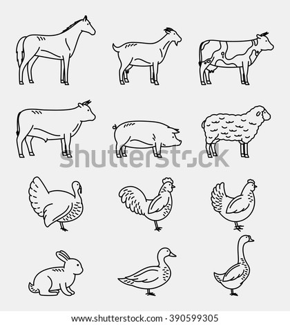 Vector Thin Line Farm Animals Icons Collection. Livestock And Poultry ...