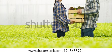 Similar – Image, Stock Photo Crop person with fresh pea pod