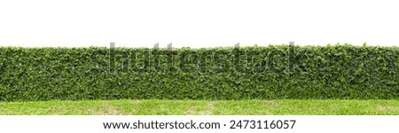 Similar – Image, Stock Photo A bunch of green asparagus on wooden surface