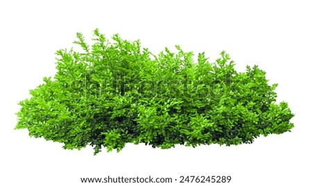 Similar – Image, Stock Photo A green bush on the edge of a dreary grey open-cast lignite mine. Energy transition, lignite