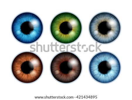 Human eyeballs iris pupils set isolated on white background - blue gray brown green colors. Colorful eyes realistic vector illustration.