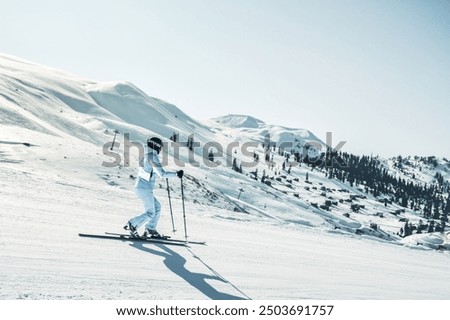 Similar – Image, Stock Photo Piste marking in fresh snow on freshly prepared piste