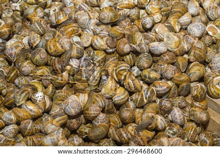 Healthy nutritious bizarre food, a pile of crawling snails on an open air food market stand.