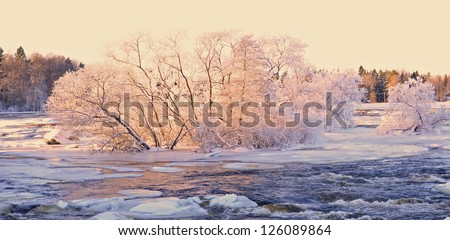River in winter and tree branches covered with white frost at sunrise