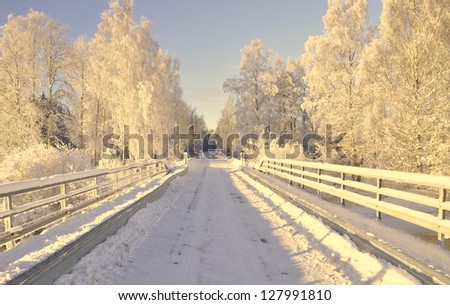 Country road in winter and tree branches covered with white frost in sunrise