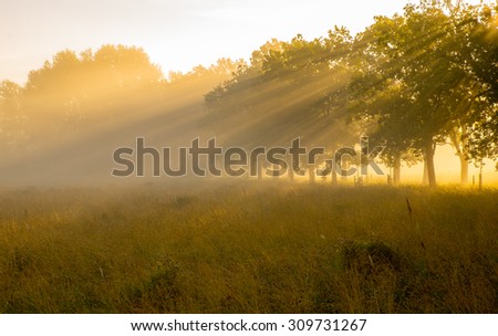 Scenic view of a misty country landscape in sunrise