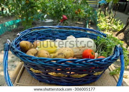 Basket of Vegetables with Garden in Background