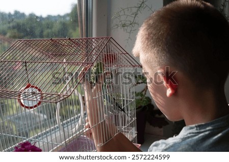 Similar – Image, Stock Photo Two Small Green Bird Sitting Together On Branch