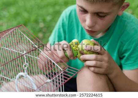 Image, Stock Photo Two Small Green Bird Sitting Together On Branch