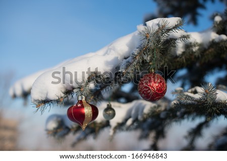 Red Christmas Holiday Ornaments Hanging from White Snow Capped Pine Tree Branch