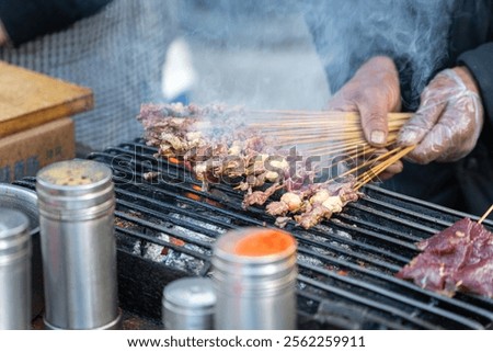 Similar – Image, Stock Photo Smoke oven with grate from which trout are suspended on a hook