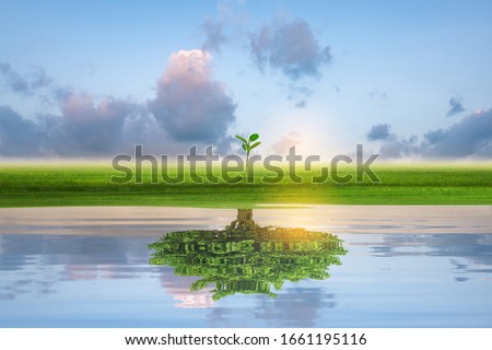 Small green island with lonely tree reflection in quiet water of the ocean. Financial business Concept. Imagine de stoc © 