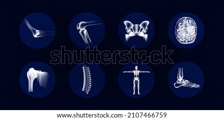 Collection of images of human joints and bones, orthopedic icons. elbow, knee, hip, shoulder, spine, ankle, brain mri and human skeleton in x-ray style. Orthopedic icons. Bones anatomy set. Vector