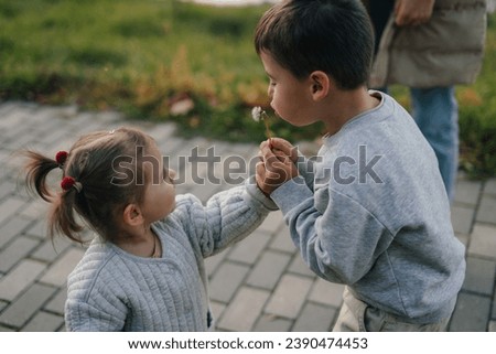 Similar – Image, Stock Photo Child picking spring flowers