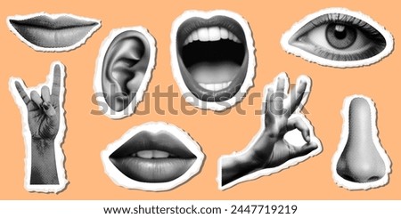 set of collage elements with body parts collection with eye hand showing ok sign nose ear smiling mouth lips retro halftone dotted texture torn paper shapes isolated on trendy peach background