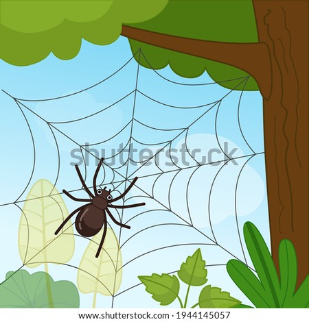 Similar – Image, Stock Photo Spider web in forest on overcast day