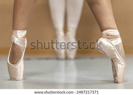 Similar – Image, Stock Photo Ballerina standing on tiptoe classical position outside