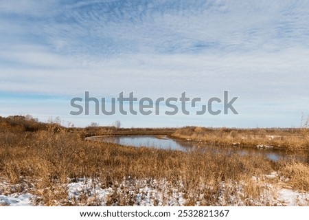 Similar – Image, Stock Photo first snow in the Black Forest