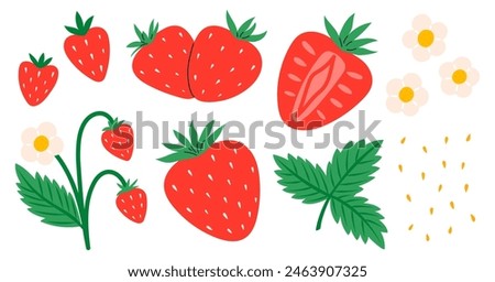 Strawberry set. Red strawberries with leaves and flowers. Juicy summer berries. Flat Vector illustration isolated on white background