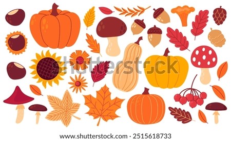 Autumn cozy design elements. Set of fall leaves, foliage, flowers, chestnut, acorn, berries, apples, pumpkins, mushrooms. Flat Vector illustration isolated on white background