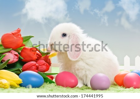 white baby rabbit with flowers and easter eggs on grass with blue sky