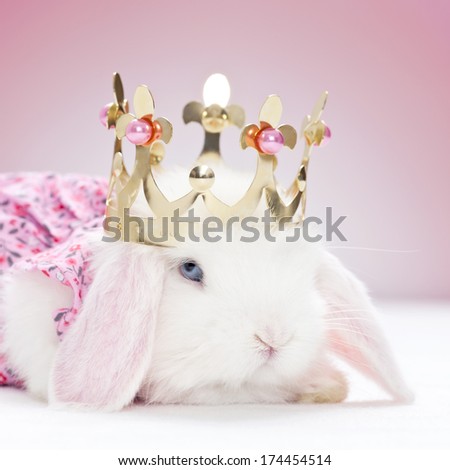 white baby rabbit with golden crown and pink background