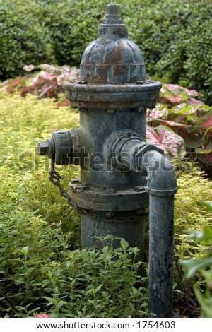 aged fire hydrant in a beautiful garden