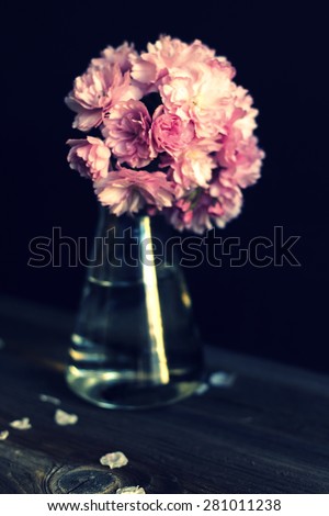spring blossoms in glass vase on wooden surface, fresh pink cherry flowers on wooden table with copy space, retro toned image
