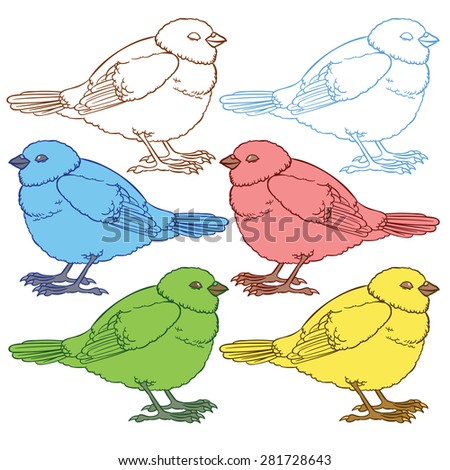 Cute multicolored birds - collection of colorful birds - vector illustration