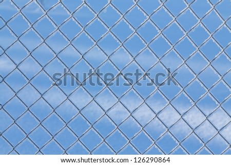Fence net with hoarfrost  on a background of blue sky