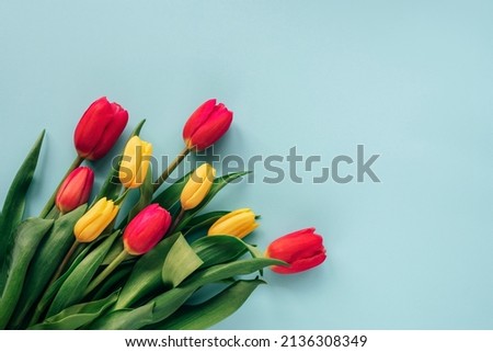 Similar – Foto Bild Tulpen rot-gelb Pflanze