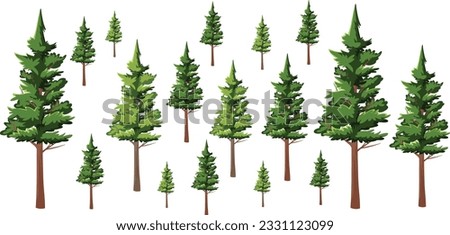 Set of forest trees and bushes, green tall spruce tree, European spruce evergreen coniferous tree, green tall pine tree, white spruce evergreen coniferous tree, green bushes