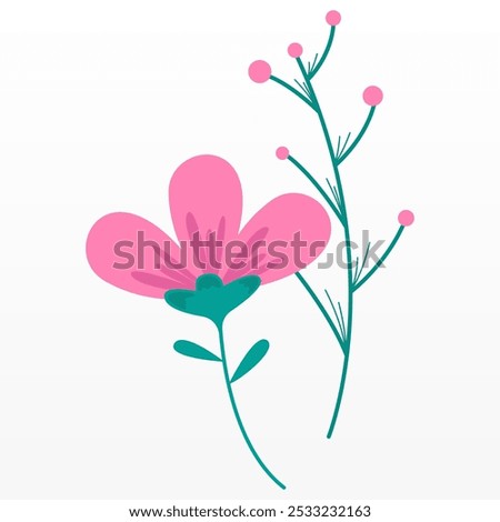 Botanical graphic assets. Botanical design asset on transparent background